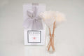 Classic Natural Reed Diffusers - Apres Ski
