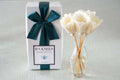 Classic Natural Reed Diffusers - Peacock