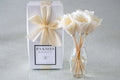 Classic Natural Reed Diffusers - Vanilla