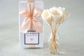 Classic Reed Diffuser - Eliza