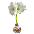 White Flower Gold Splatter Wax 30cm+ Case of 23