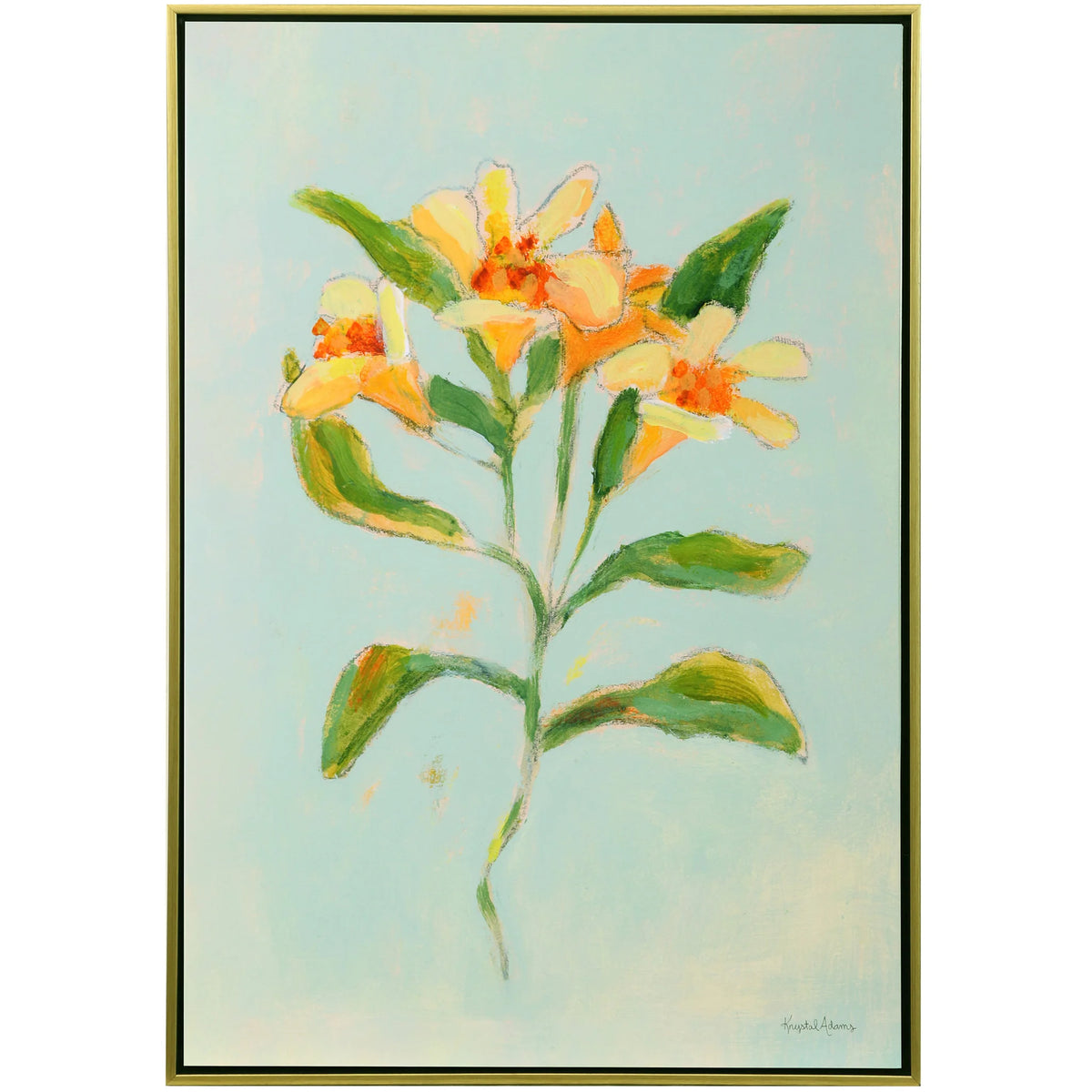 LILY STUDY II