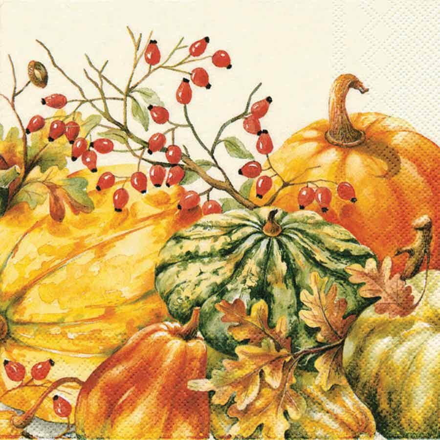 Calabaza Cocktail Napkins in Cream