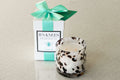 B's Knees 2-Wick Tortise Candle - Ocean Air