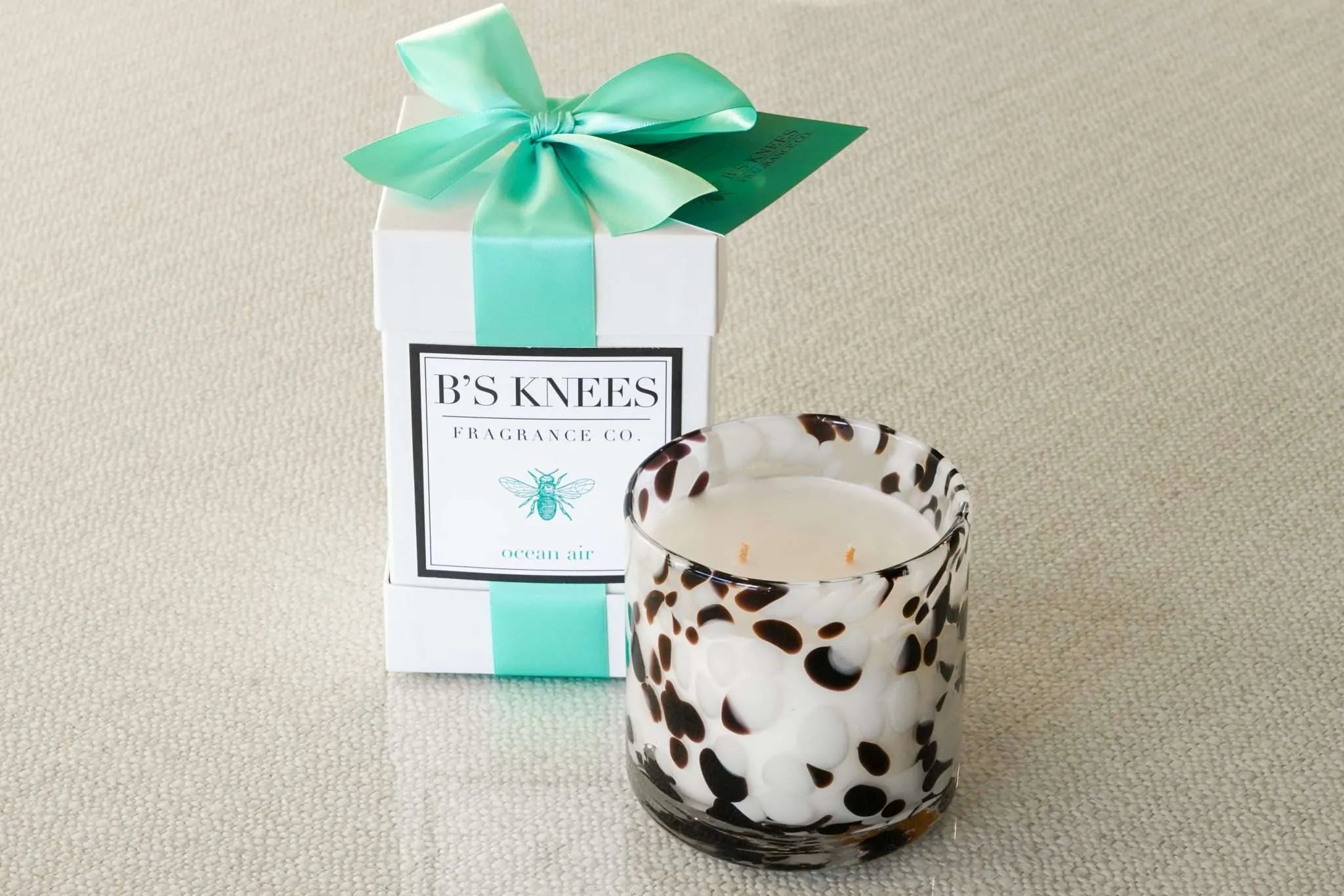 B's Knees 2-Wick Tortise Candle - Ocean Air