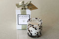 B's Knees 2-Wick Tortoise Candle - No. 3