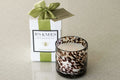 B's Knees 2-Wick Tortoise Candle - Fresh Bamboo